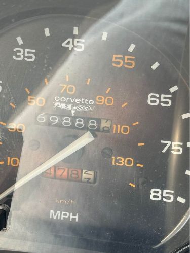 Chevrolet-Corvette-1981-Blue-Blue-3