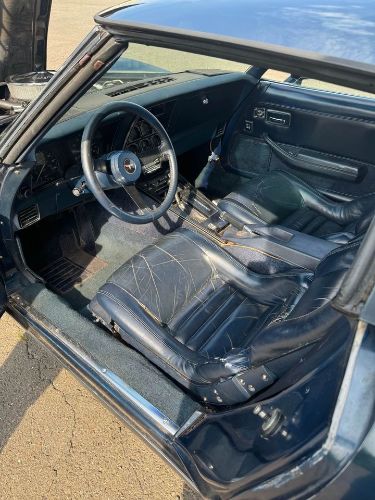 Chevrolet-Corvette-1981-Blue-Blue-5