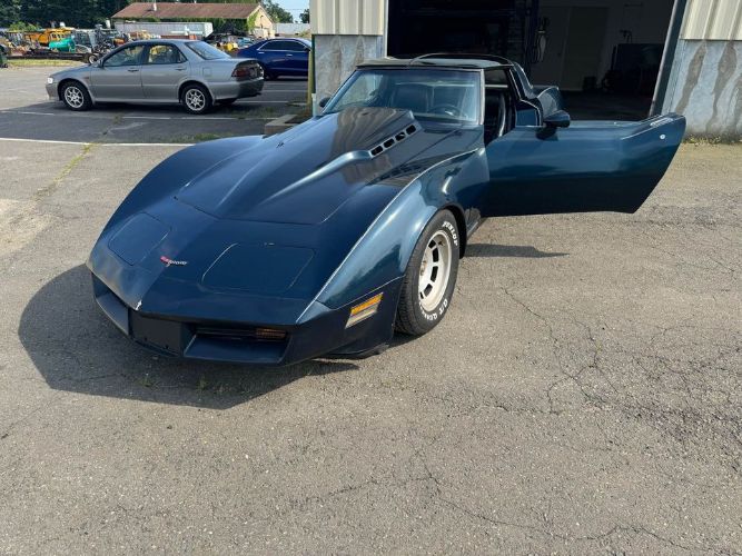 Chevrolet-Corvette-1981-Blue-Blue-8