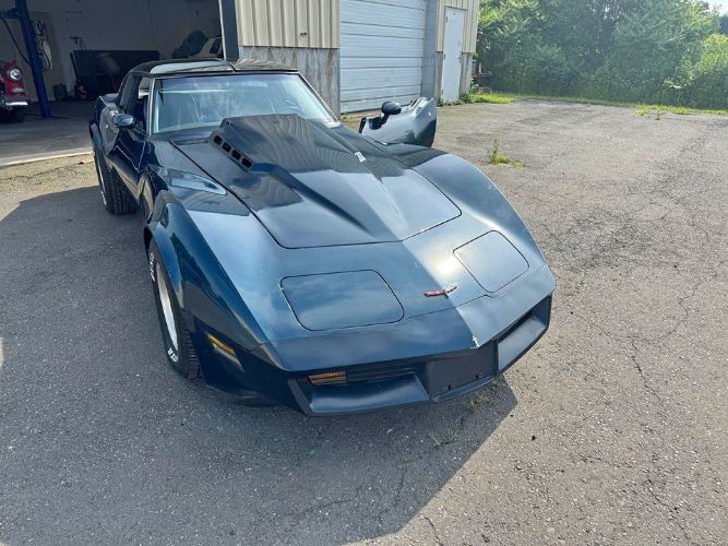 Chevrolet-Corvette-1981-Blue-Blue