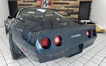 Chevrolet-Corvette-1981-Blue-Metallic-Blue-12
