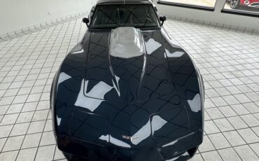 Chevrolet-Corvette-1981-Blue-Metallic-Blue-14