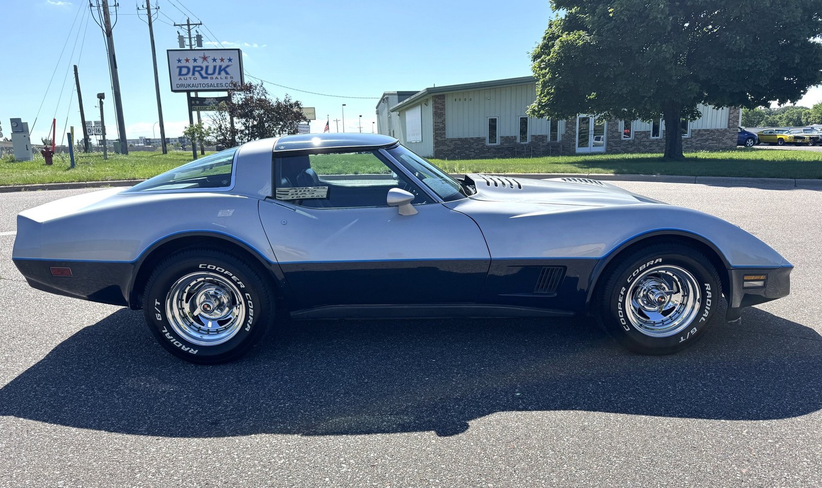Chevrolet-Corvette-1981-Coupe-1