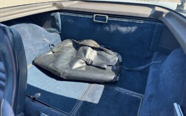 Chevrolet-Corvette-1981-Coupe-12