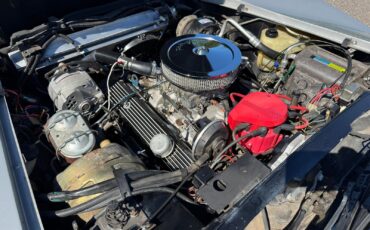 Chevrolet-Corvette-1981-Coupe-13