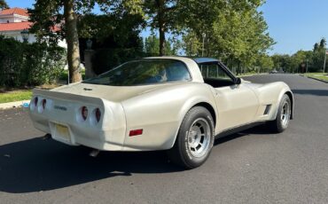 Chevrolet-Corvette-1981-Coupe-2