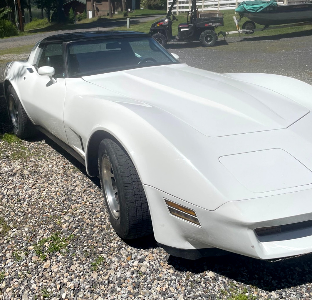 Chevrolet-Corvette-1981-Coupe-2