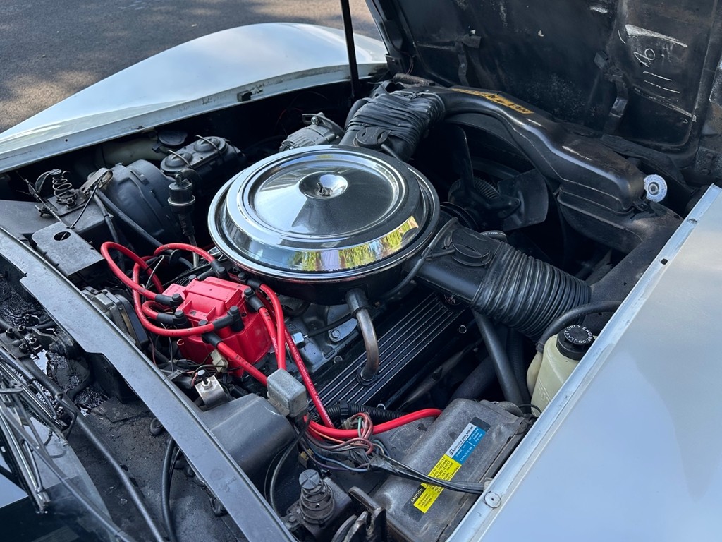 Chevrolet-Corvette-1981-Coupe-21