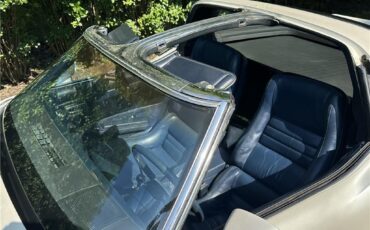 Chevrolet-Corvette-1981-Coupe-28
