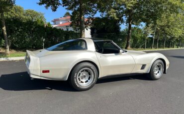 Chevrolet-Corvette-1981-Coupe-34
