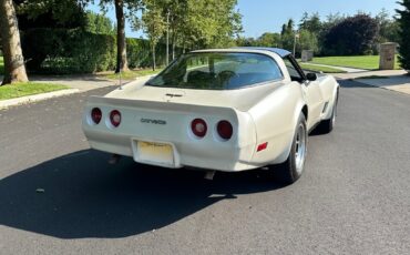 Chevrolet-Corvette-1981-Coupe-35