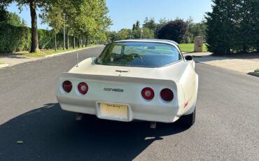 Chevrolet-Corvette-1981-Coupe-36