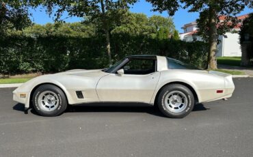 Chevrolet-Corvette-1981-Coupe-4