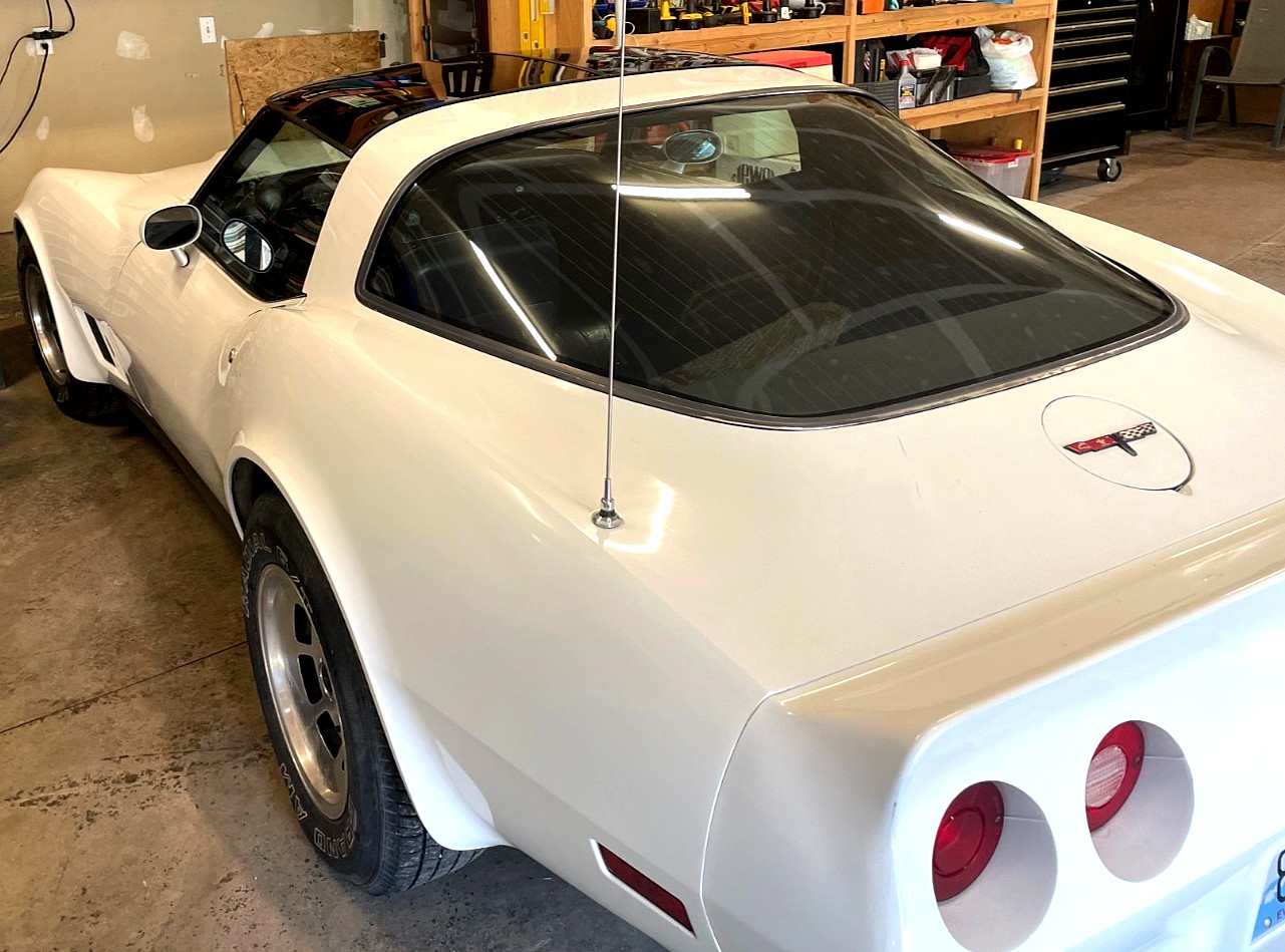 Chevrolet-Corvette-1981-Coupe-4