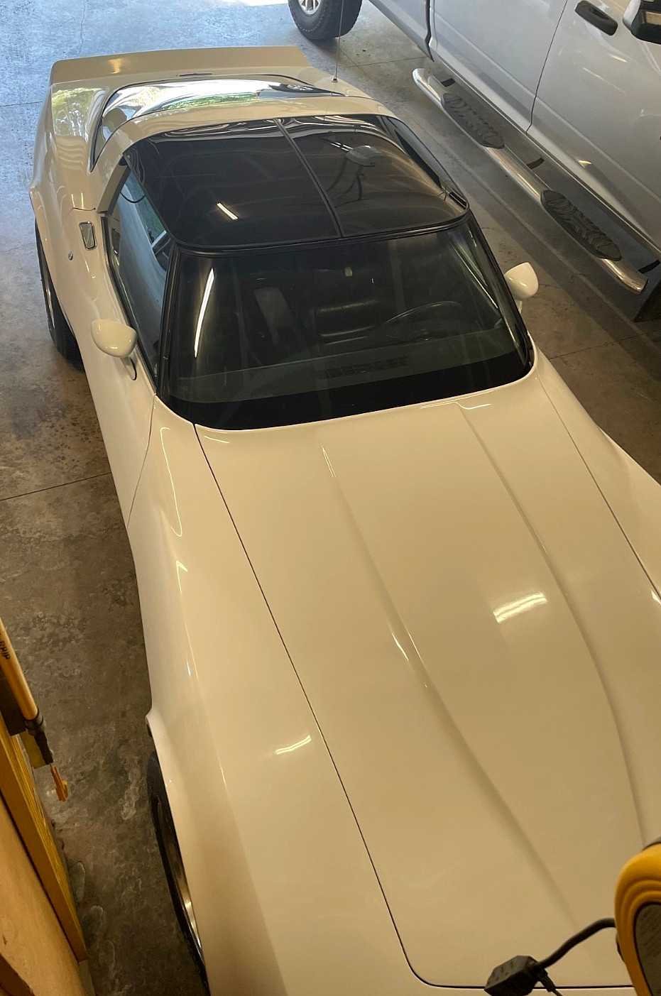 Chevrolet-Corvette-1981-Coupe-5
