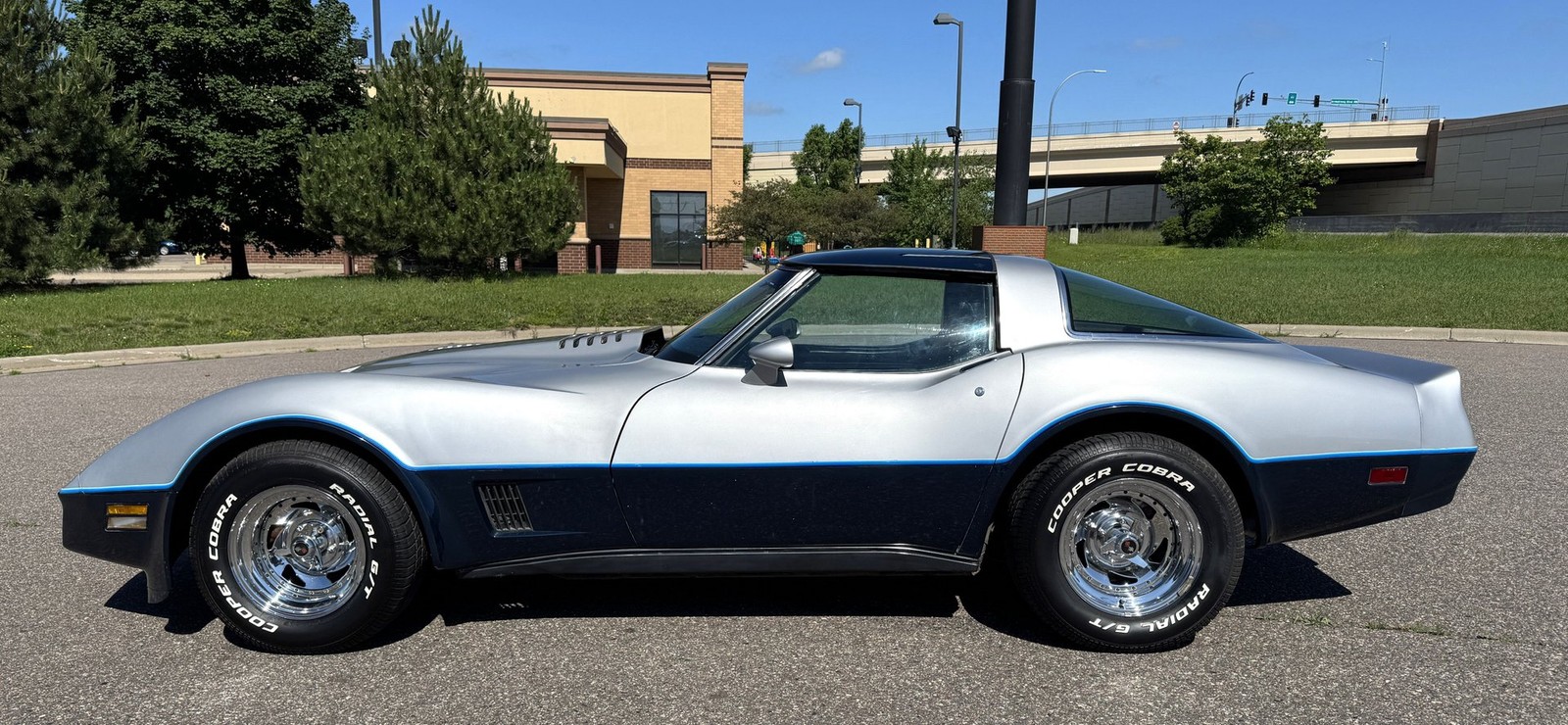 Chevrolet-Corvette-1981-Coupe-6
