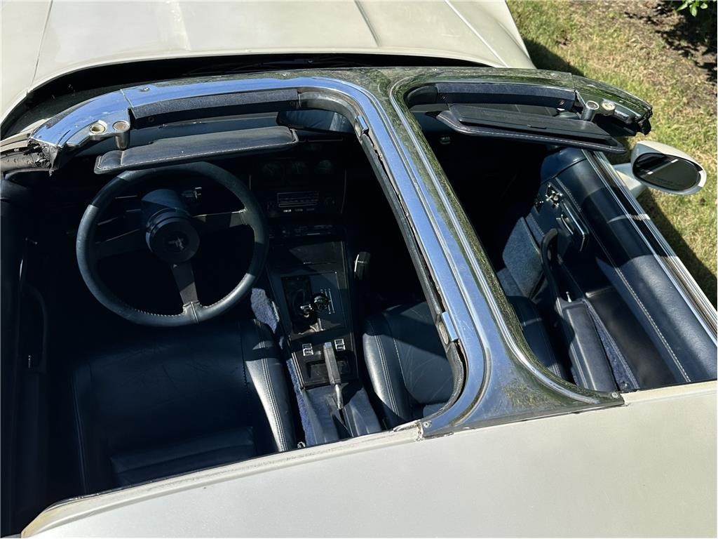 Chevrolet-Corvette-1981-Coupe-9