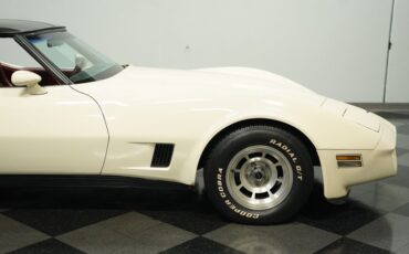 Chevrolet-Corvette-1981-Cream-Beige-Medium-Cinnabar-10