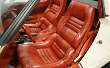 Chevrolet-Corvette-1981-Cream-Beige-Medium-Cinnabar-11