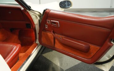 Chevrolet-Corvette-1981-Cream-Beige-Medium-Cinnabar-13