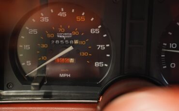 Chevrolet-Corvette-1981-Cream-Beige-Medium-Cinnabar-19