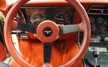 Chevrolet-Corvette-1981-Cream-Beige-Medium-Cinnabar-28
