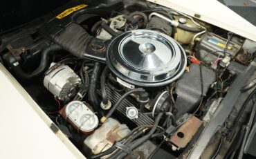 Chevrolet-Corvette-1981-Cream-Beige-Medium-Cinnabar-38