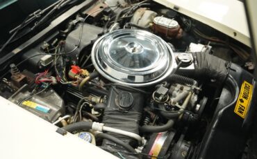 Chevrolet-Corvette-1981-Cream-Beige-Medium-Cinnabar-39