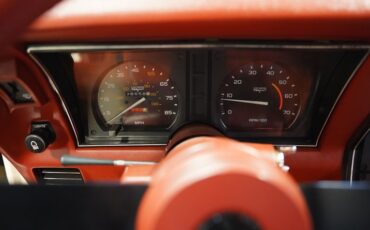 Chevrolet-Corvette-1981-Cream-Beige-Medium-Cinnabar-6