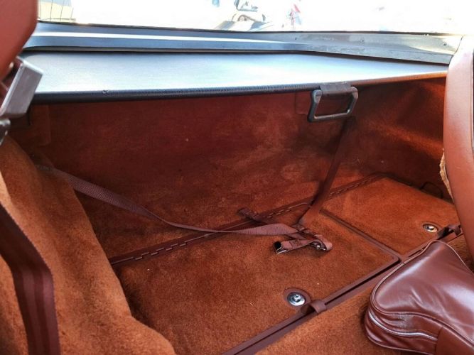 Chevrolet-Corvette-1981-Custom-1