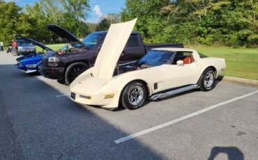Chevrolet-Corvette-1981-Custom-10