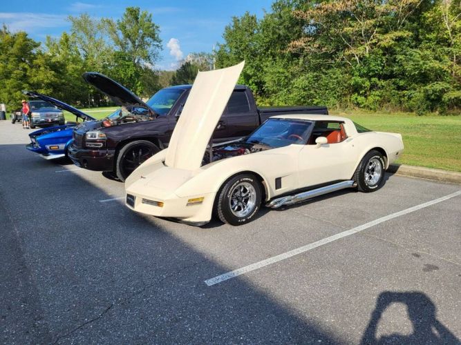 Chevrolet-Corvette-1981-Custom-10