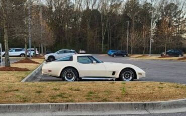 Chevrolet-Corvette-1981-Custom-12