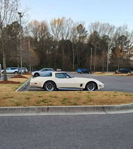Chevrolet-Corvette-1981-Custom-12