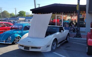 Chevrolet-Corvette-1981-Custom-13