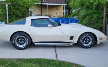 Chevrolet-Corvette-1981-Custom-15