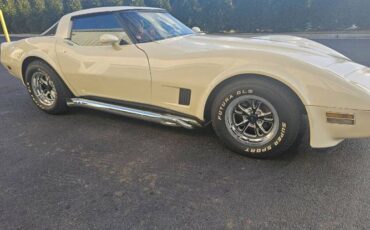 Chevrolet-Corvette-1981-Custom-16