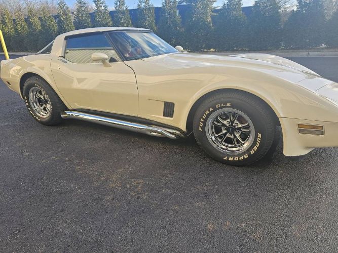 Chevrolet-Corvette-1981-Custom-16