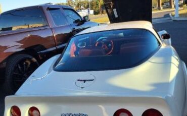 Chevrolet-Corvette-1981-Custom