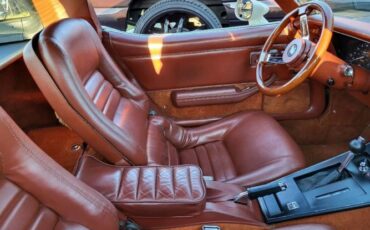 Chevrolet-Corvette-1981-Custom-6