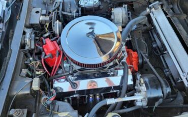 Chevrolet-Corvette-1981-Custom-8
