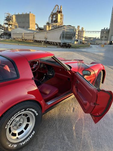 Chevrolet-Corvette-1981-Red-5
