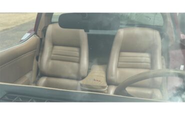 Chevrolet-Corvette-1981-Red-Camel-1