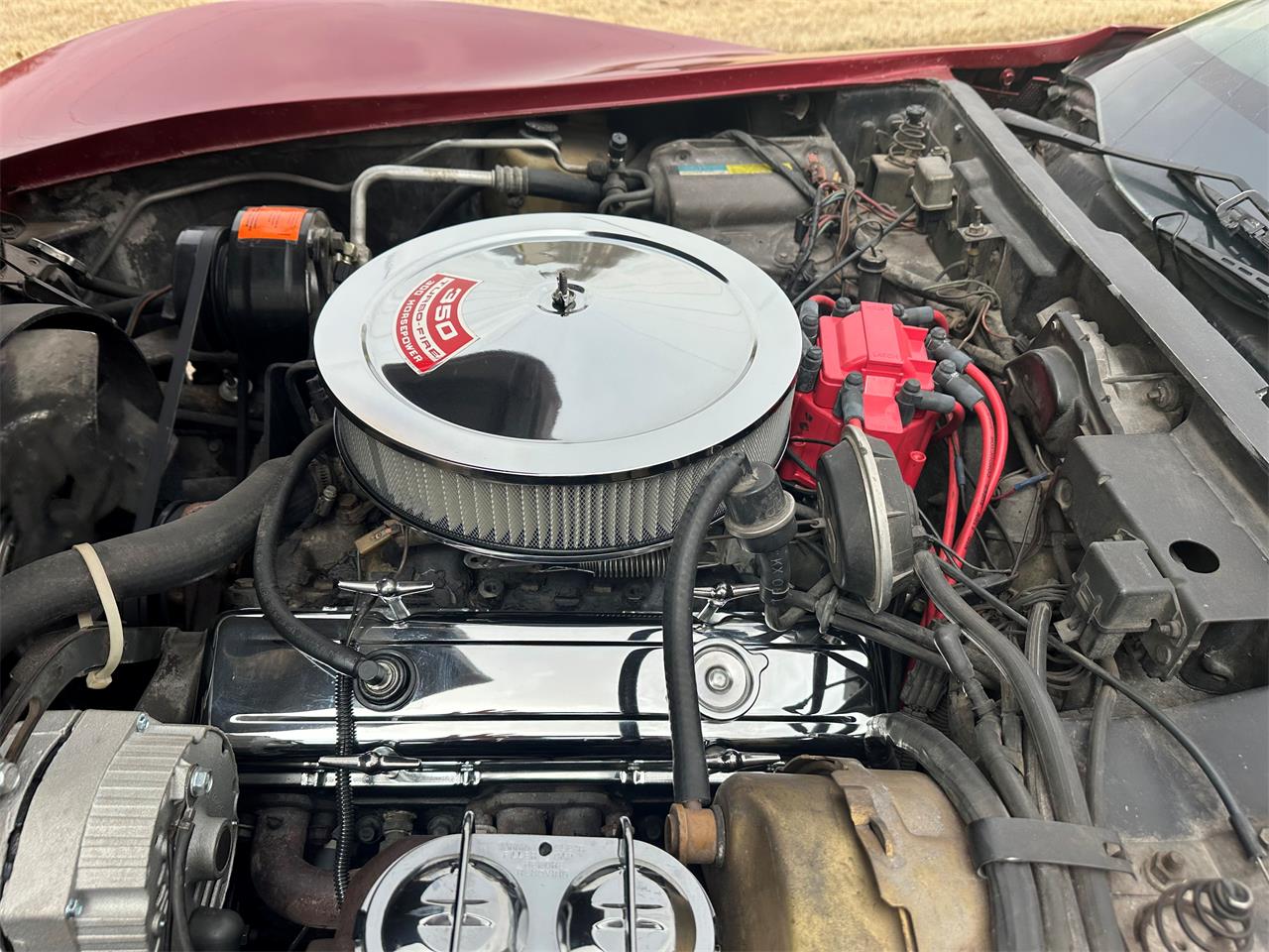 Chevrolet-Corvette-1981-Red-Camel-10