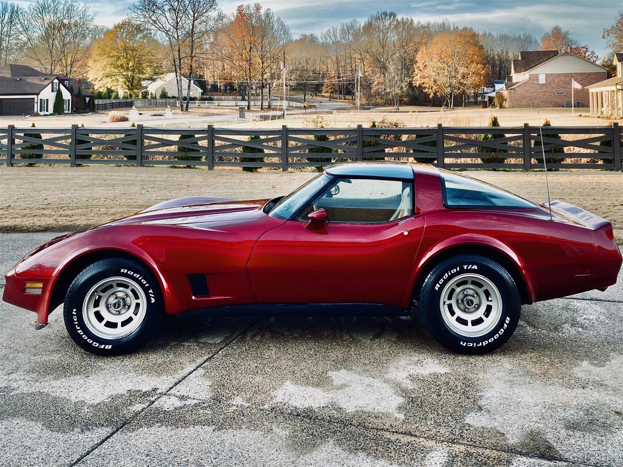 Chevrolet-Corvette-1981-Red-Camel-2