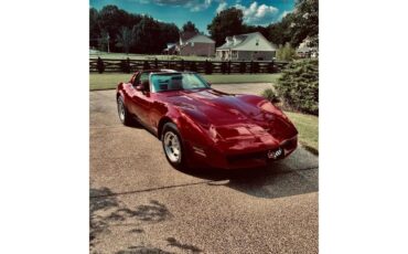 Chevrolet-Corvette-1981-Red-Camel-3