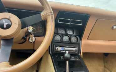 Chevrolet-Corvette-1981-Red-Camel