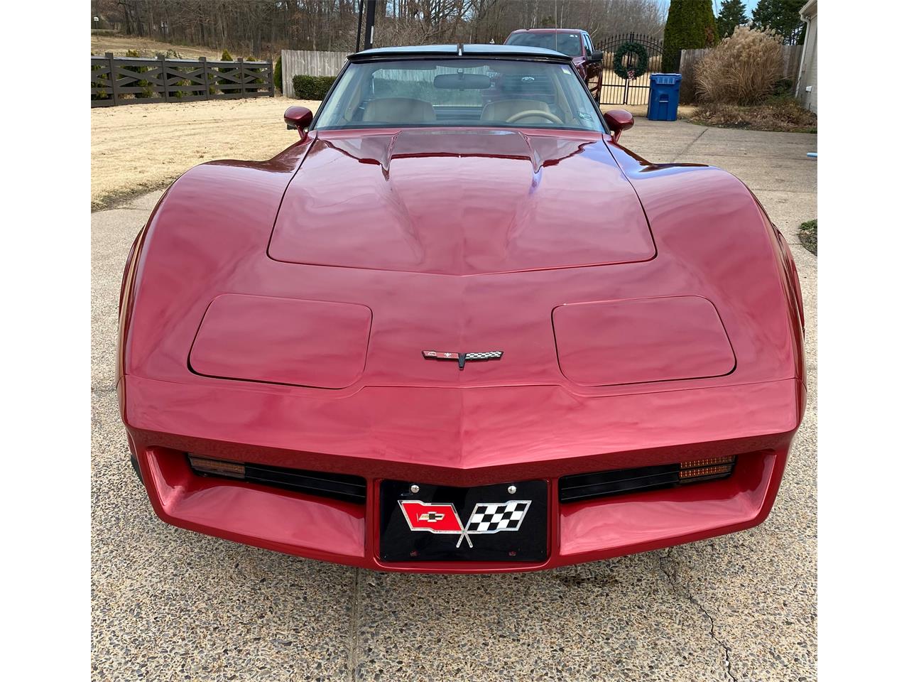 Chevrolet-Corvette-1981-Red-Camel-4
