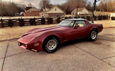 Chevrolet-Corvette-1981-Red-Camel-5