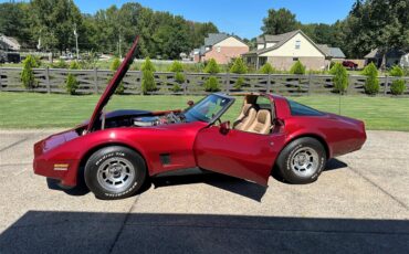 Chevrolet-Corvette-1981-Red-Camel-6
